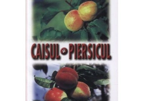 Caisul si piersicul