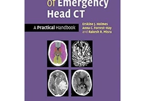 Interpretation of Emergency Head CT: A Practical Handbook