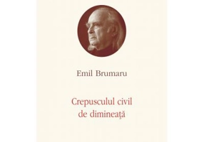 Crepusculul civil de dimineata. Opere V - Emil Brumaru