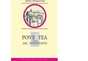 Povestea unui mic zdrenturos