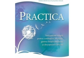 Practica. Instrumente simple pentru combaterea stresului, gasirea linistii interioare si descoperirea fericirii