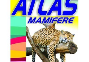 Mic atlas Mamifere