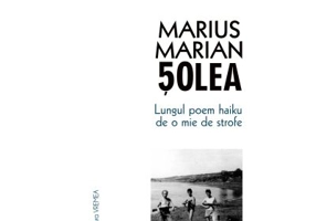 Lungul poem haiku de o mie de strofe - Marius Marian Solea