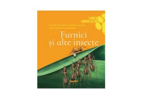 Furnici si alte insecte