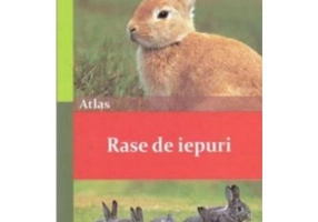 Rase de iepuri