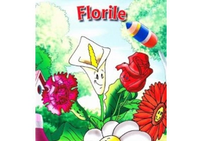 Flori. Carte de colorat