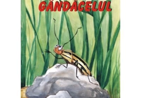 Gandacelul. Poveste