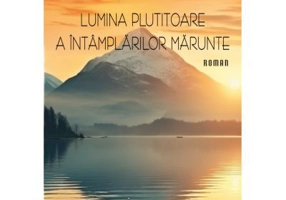 Lumina plutitoare a intamplarilor marunte - EM. A. Stan