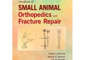 Brinker, Piermattei and Flo's Handbook of Small Animal Orthopedics and Fracture Repair