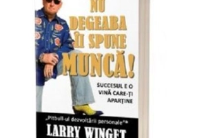 Nu degeaba ii spune munca! Succesul e o vina care-ti apartine - Larry Winget