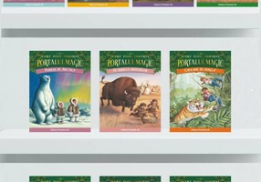 Pachet Portalul magic II