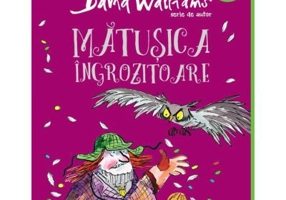 Matusica ingrozitoare - David Walliams