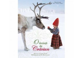 O dorinta de Craciun