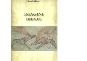 Imagini bifate