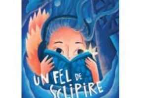 Un fel de sclipire - Elle McNicoll
