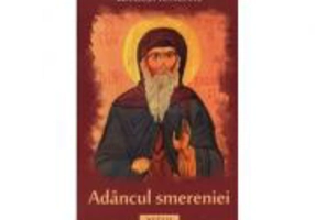 Adancul smereniei - Brandusa Vranceanu