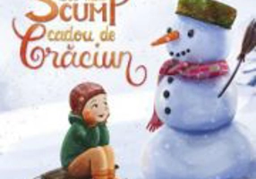 Cel mai scump cadou de Craciun - Danion Vasile