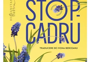 Stop-cadru