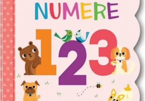 Numere - Board book - Litera mică