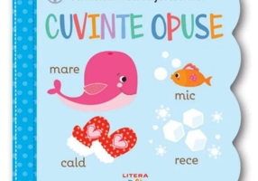 Cuvinte opuse - Board book - *** - Litera mică