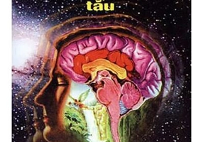 Puterea extraordinară a subconștientului tău - Paperback brosat - Dr. Joseph Murphy - Deceneu