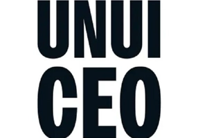 Jurnalul unui CEO. 33 de legi ale succesului in viata si in business