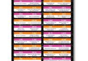 Poster Ortograme 2 A4