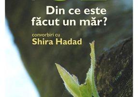 Din ce este facut un mar?