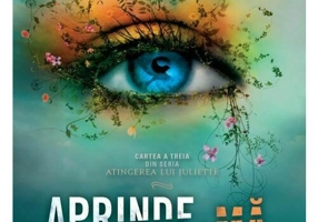 Aprinde-ma. Seria Atingerea lui Juliette, Vol. 3