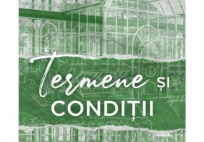 Termene si conditii. Seria Miliardarii de la Dreamland, vol.2