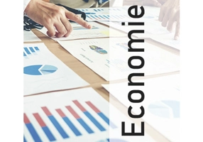 Economie. Ghid de pregatire intensiva pentru examenul de bacalaureat