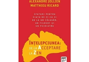 Intelepciunea de la Acceptare la Zen