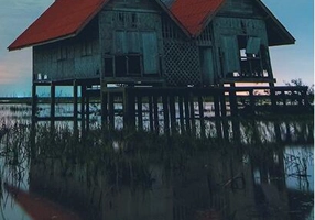 Evadarea din mlaștină