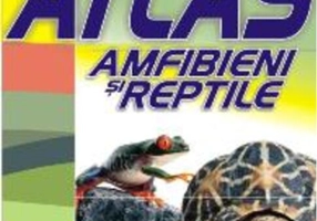 Mic atlas. Amfibieni şi reptile