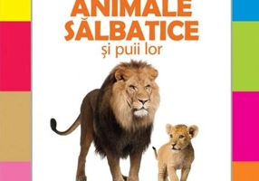 Animale sălbatice și puii lor