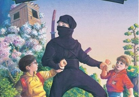 Codul luptătorilor Ninja (Vol. 5)