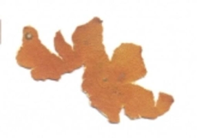 Revista IDEA artă+societate # 42, 2012