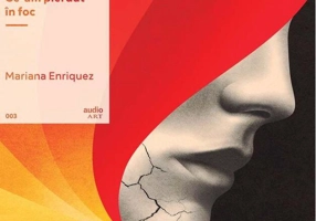 Ce-am pierdut în foc | vinil audiobook