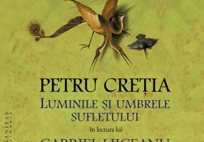 Luminile și umbrele sufletului (audiobook)