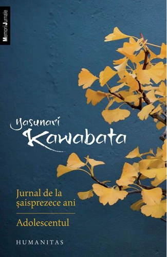 Jurnal de la șaisprezece ani. Adolescentul