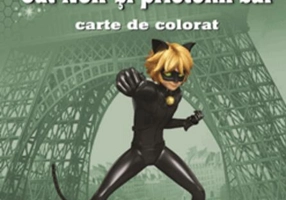 Cat Noir și prietenii săi. Carte de colorat