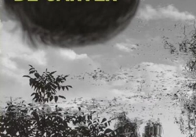 Ca într-o povestire de Carver