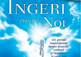 Supă de pui pentru suflet. Îngeri printre noi. 101 poveşti inspiraţionale despre miracole, credinţă şi răspunsuri la rugăciuni