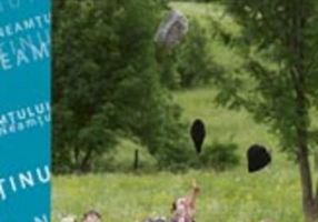 Ținutul Neamțului. Ghid turistic