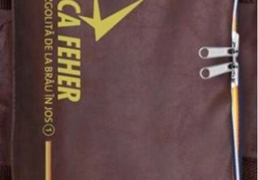 America dezgolită de la brâu în jos (Vol. 1)