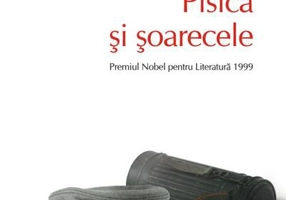 Pisica şi şoarecele (Top 10+)