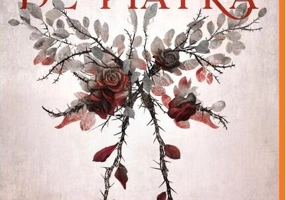 Carne de Piatră (Vol. 1)