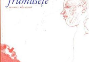 Hoții de frumusețe