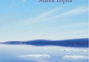 Marea Topită. Exploratorii (Vol. 8)