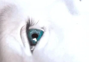 Dincolo de gândirea pozitivă